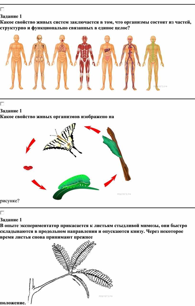 Выполнена