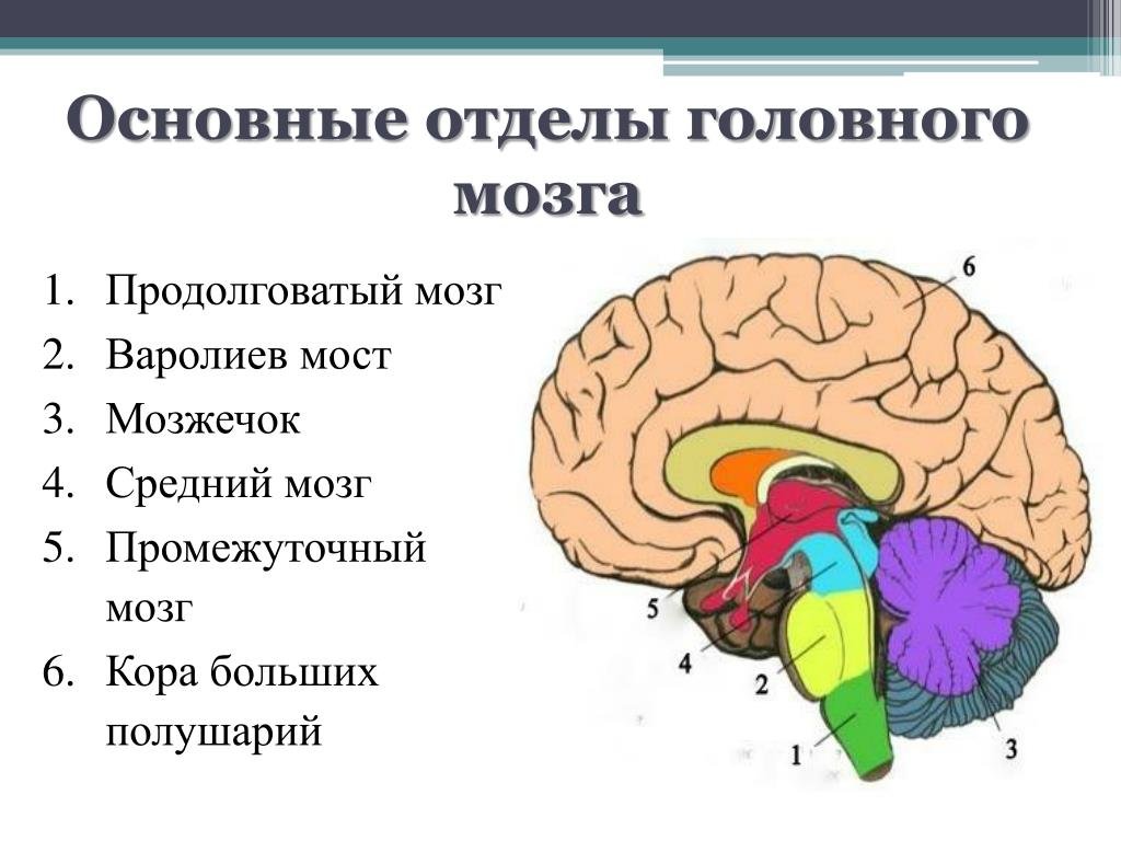 ХОЧУ МАЛЕВАТЬ | ИННОВАЦИОННАЯ