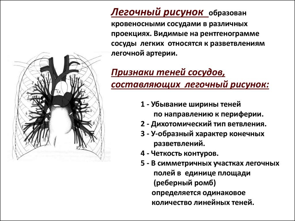 Развитие синдрома такоцубо при