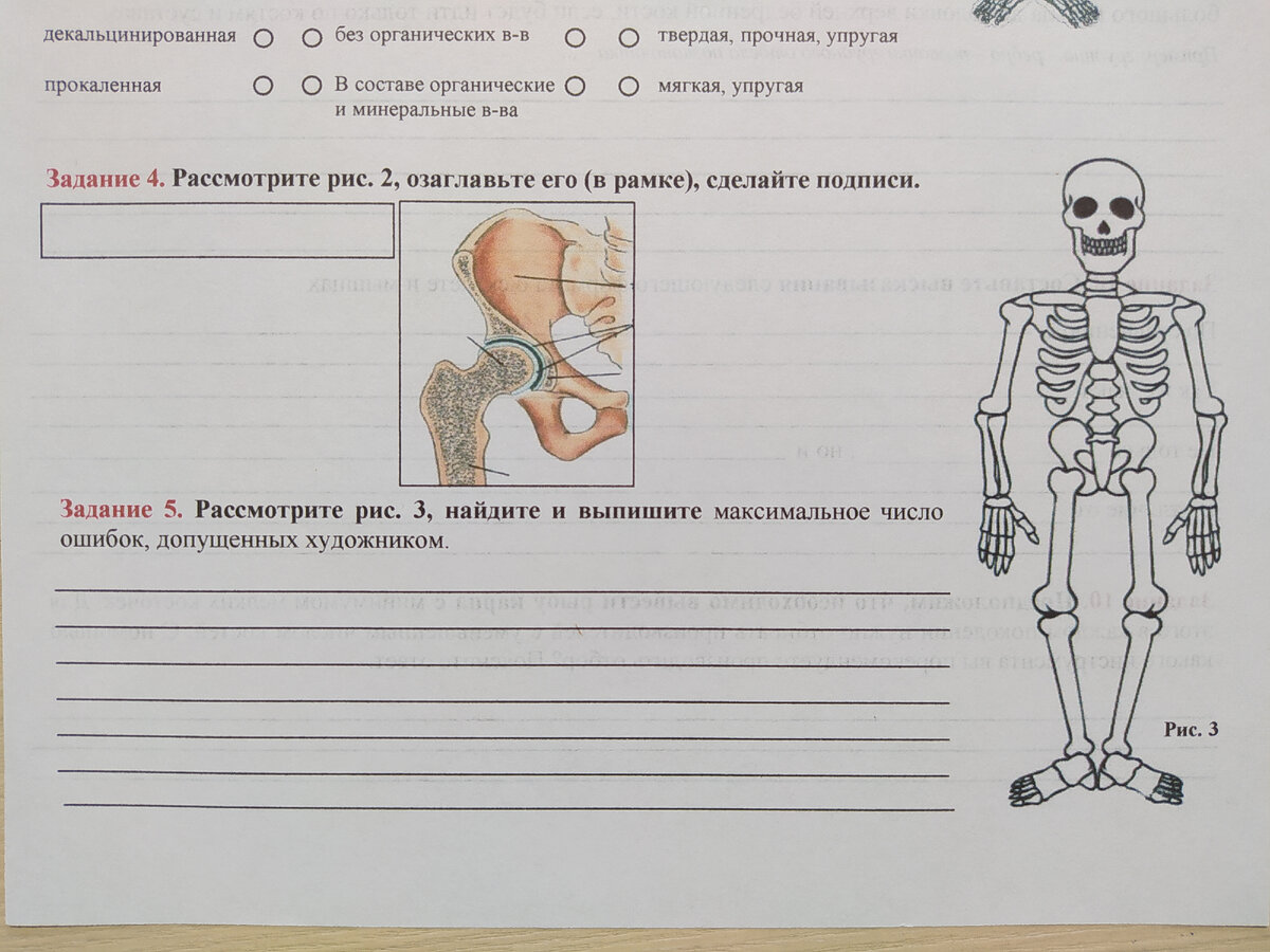 Ксефокам 8 мг 10 шт. таблетки, покрытые