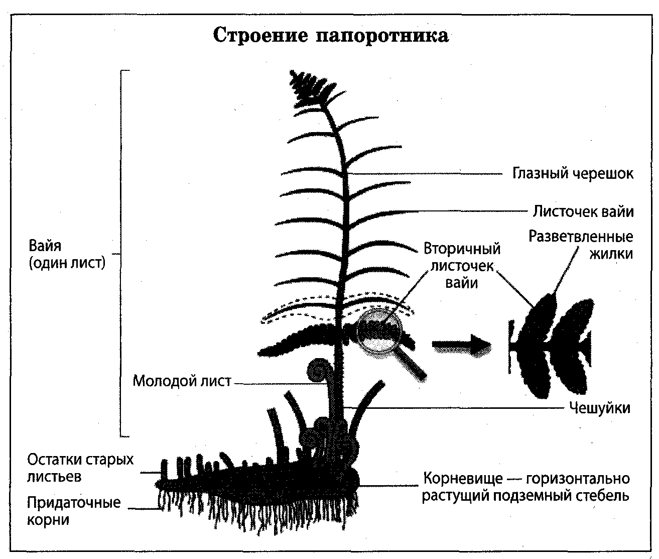 БСЭ. Аренский