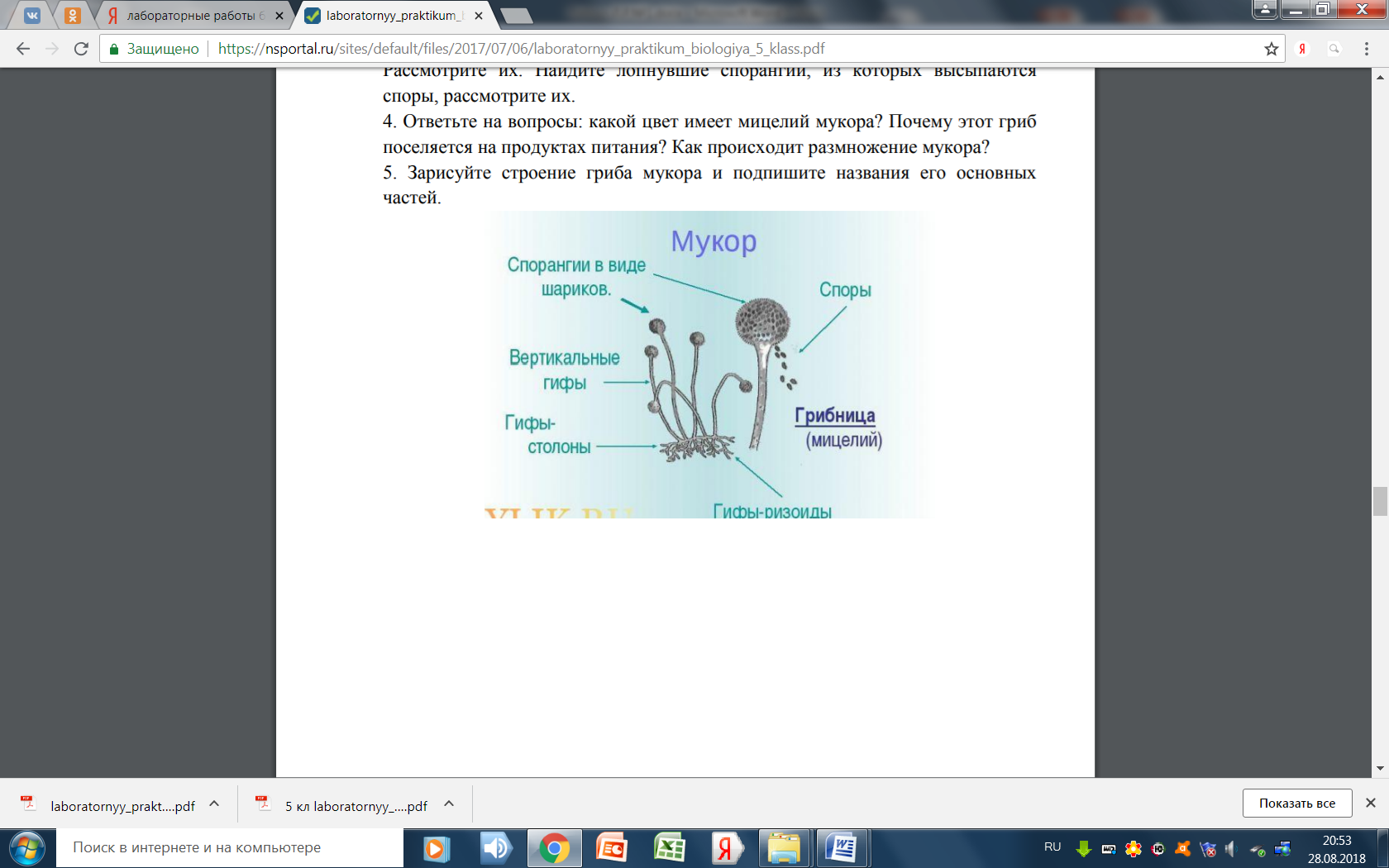 Программное обеспечение Интерактивный