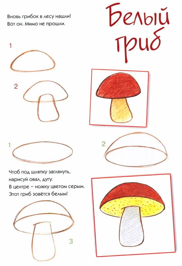 Как нарисовать гриб карандашом: лисичку