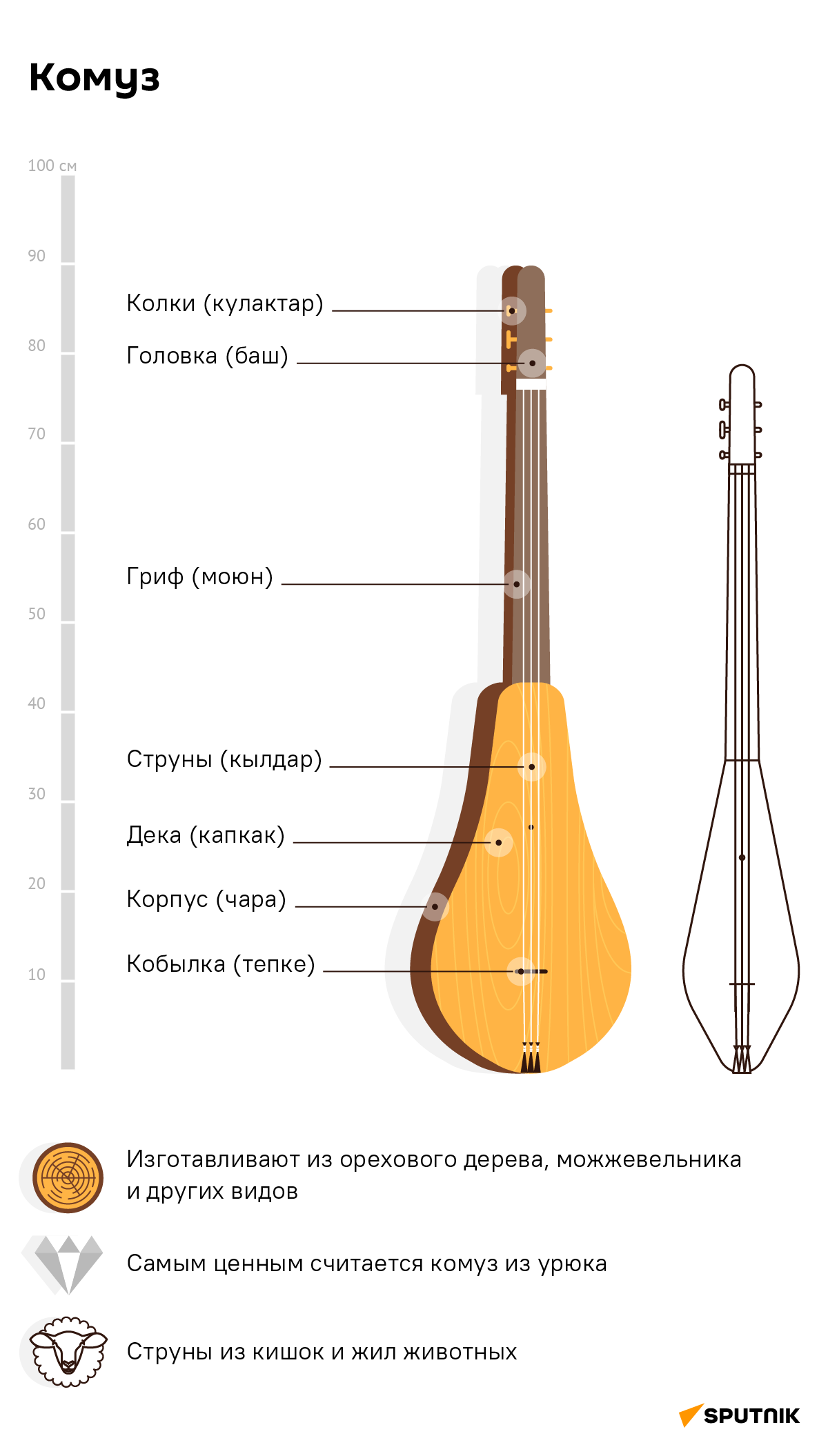 ЧЕЛОВЕК играет на гитаре, над