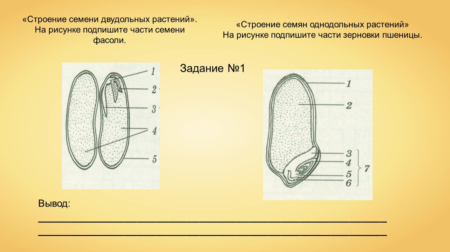 для биологов