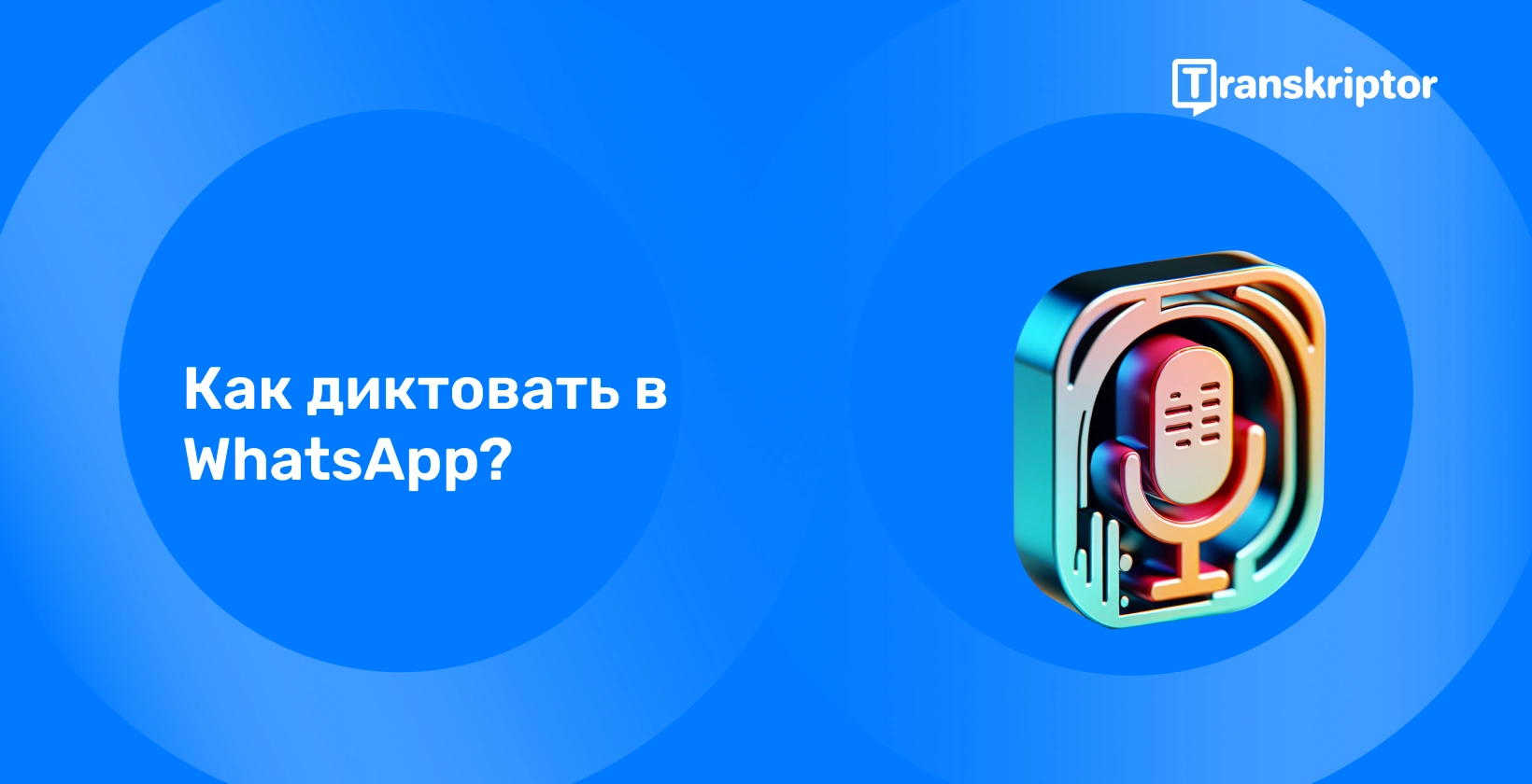 Как сделать продающую рассылку в WhatsApp