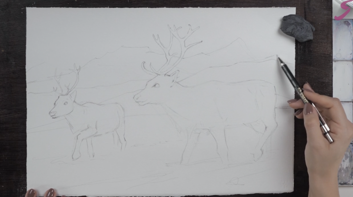 How to draw a deer / Как нарисовать