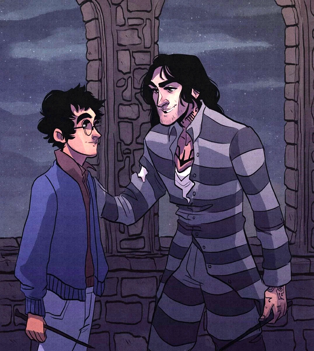 Harry Potter Sirius and Remus Art | 