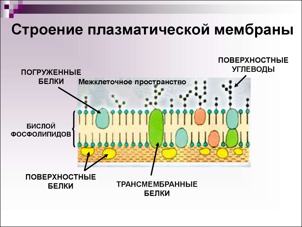 Комиссарчик . и Миронов . . Электронная