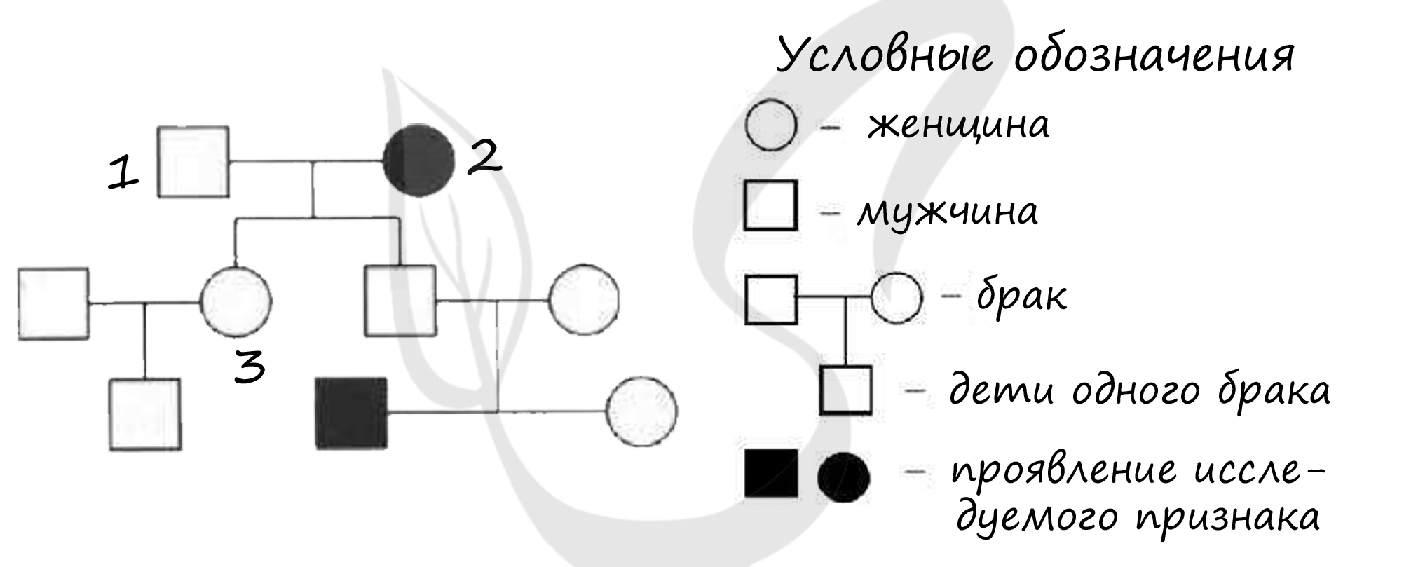 Тест ЕГЭ по биологии решать онлайн