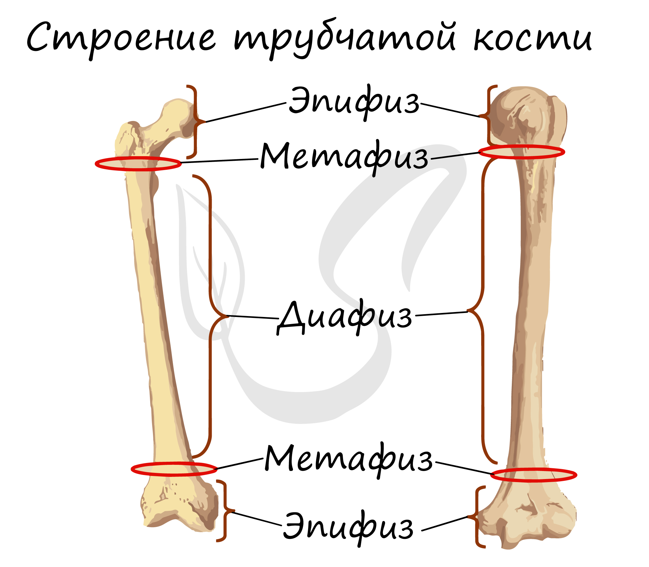 Бумаги