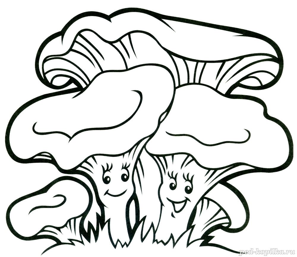 Drawings Mushrooms Russula // pencil Drawings for beginners