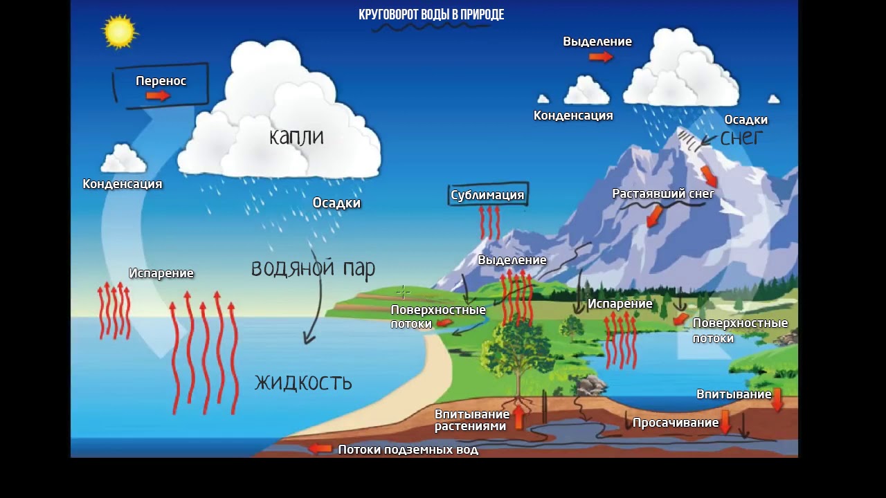 Круговорот воды в природе картинки