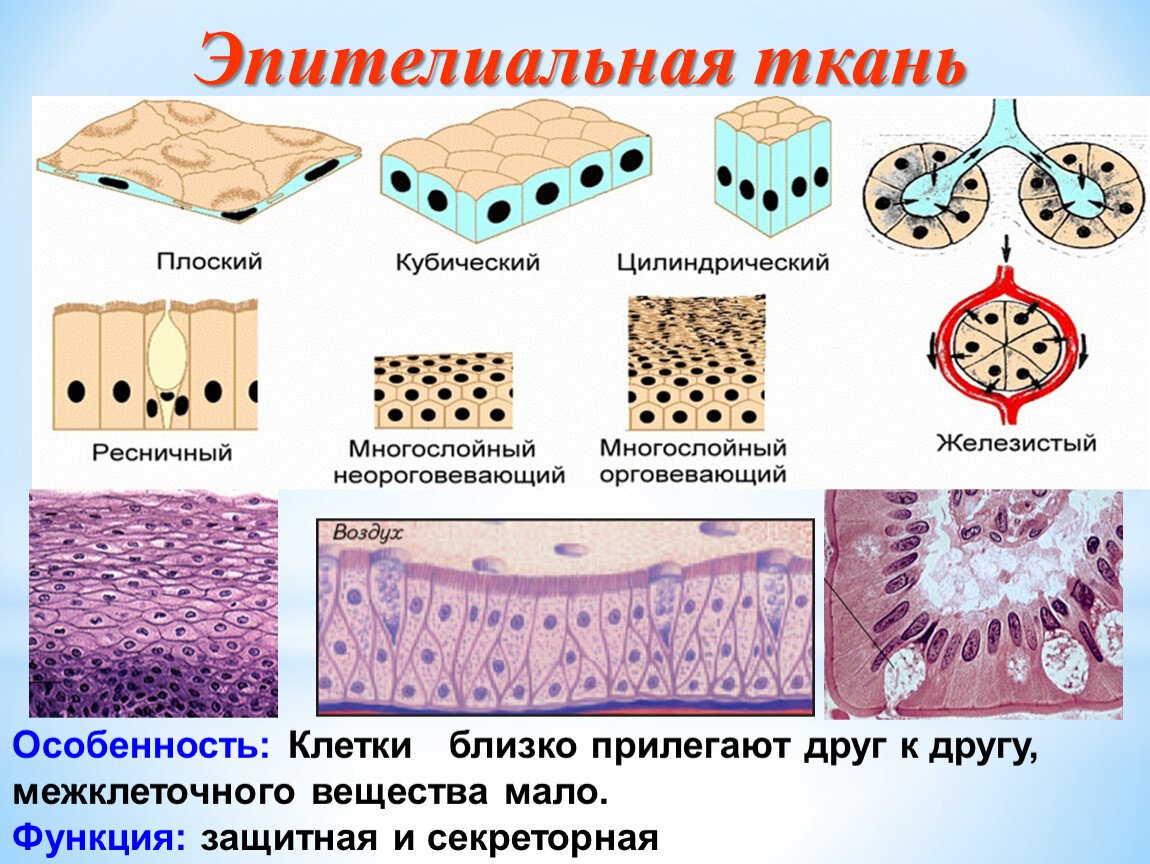 МИНИСТЕРСТВО ЗДРАВООХРАНЕНИЯ РЕСПУБЛИКИ