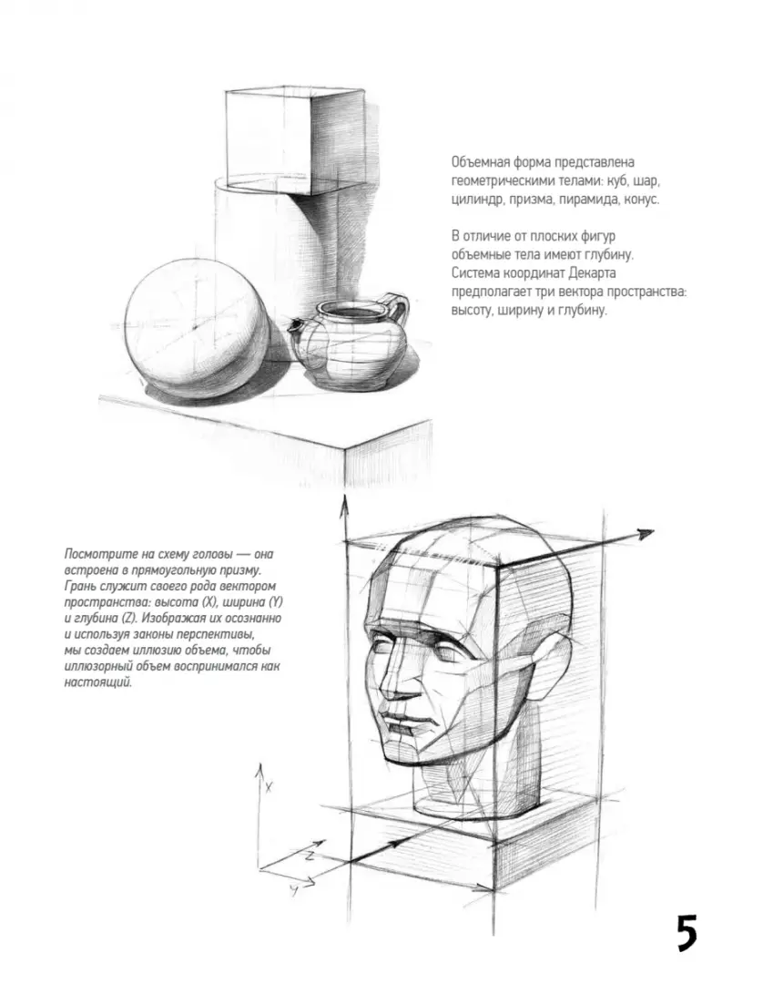 🛠 Развёртки геометрических фигур 👈