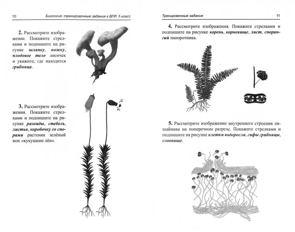 Пробник Школково №21 по биологии ОГЭ