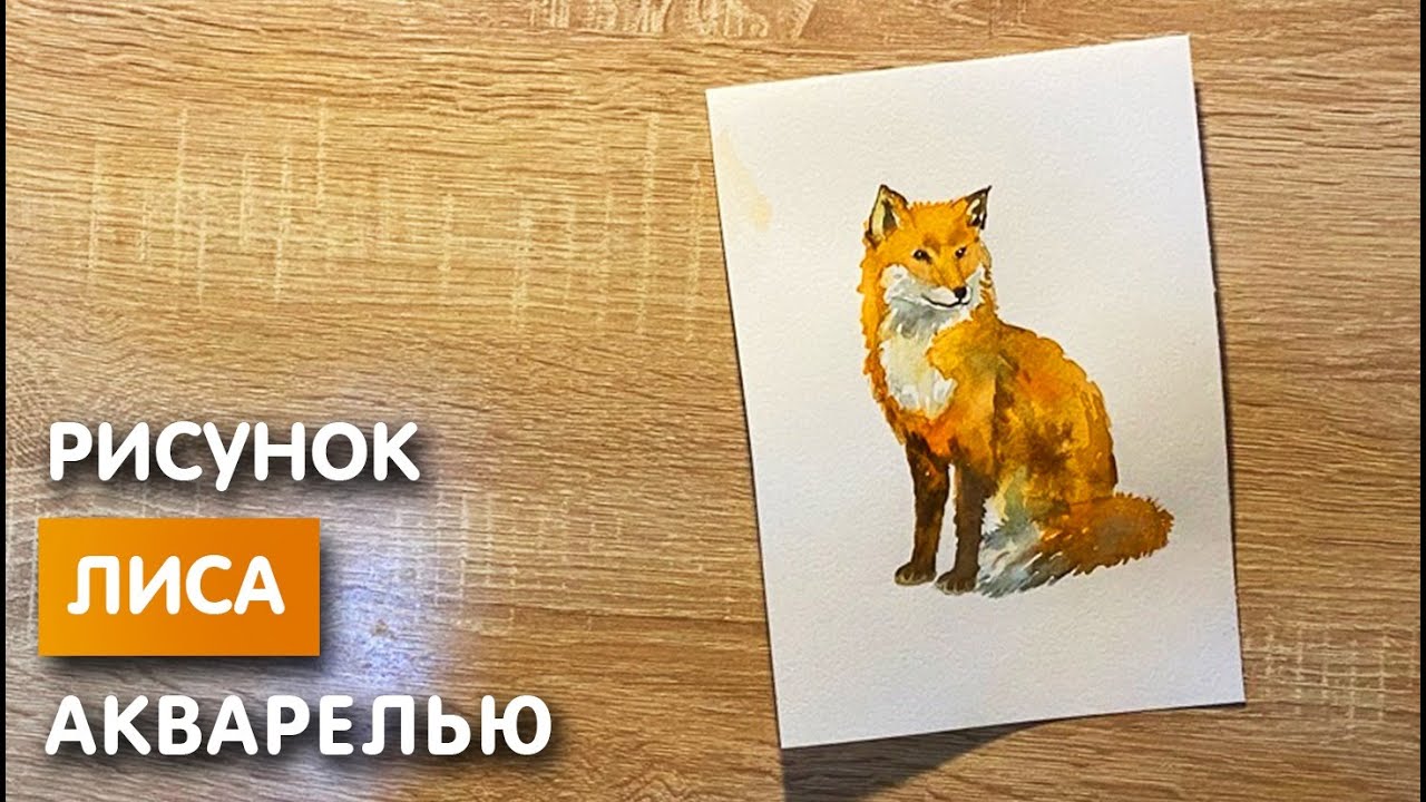 Черно белые рисунки карандашом животные