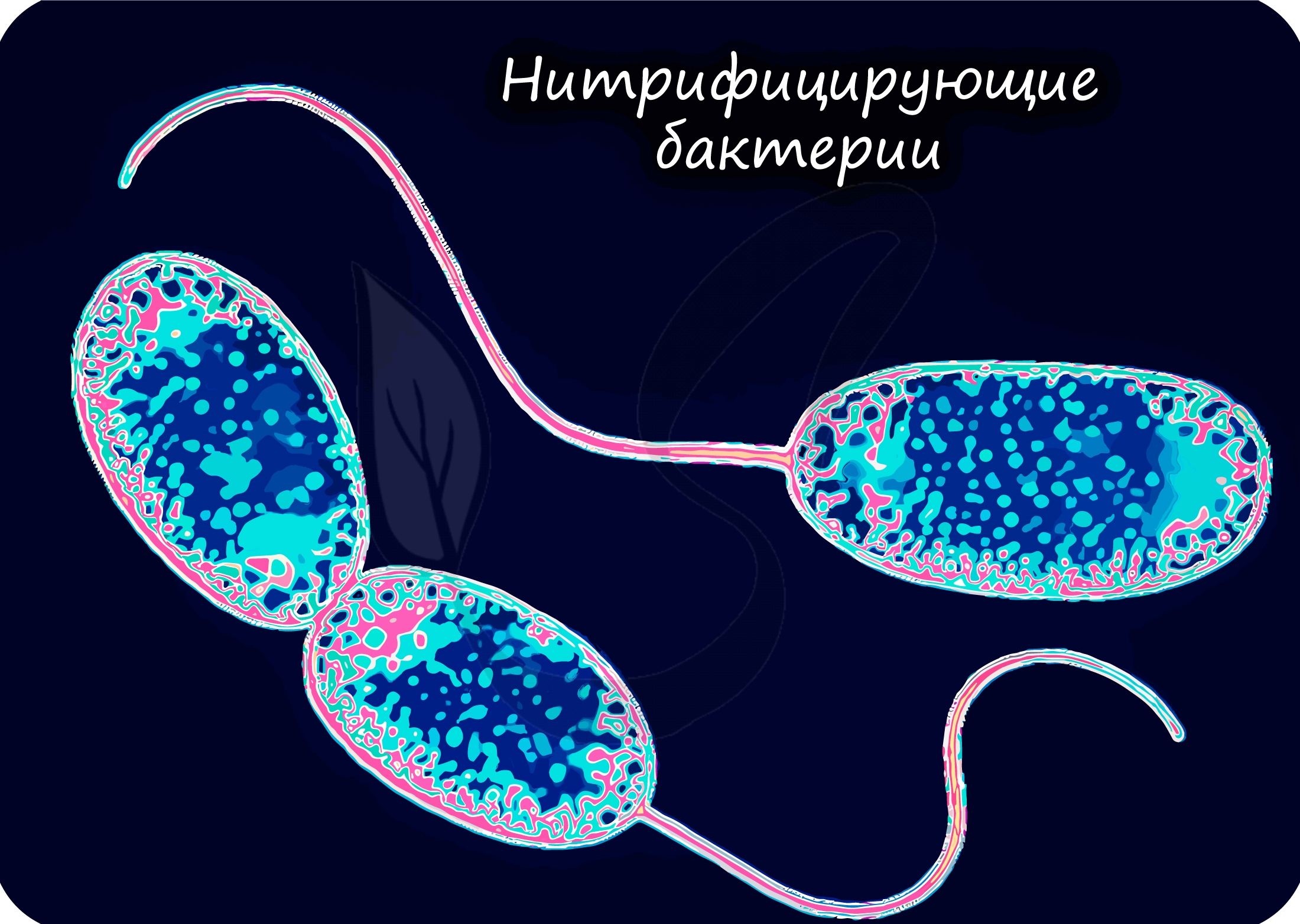 Деревянно алюминиевые окна со