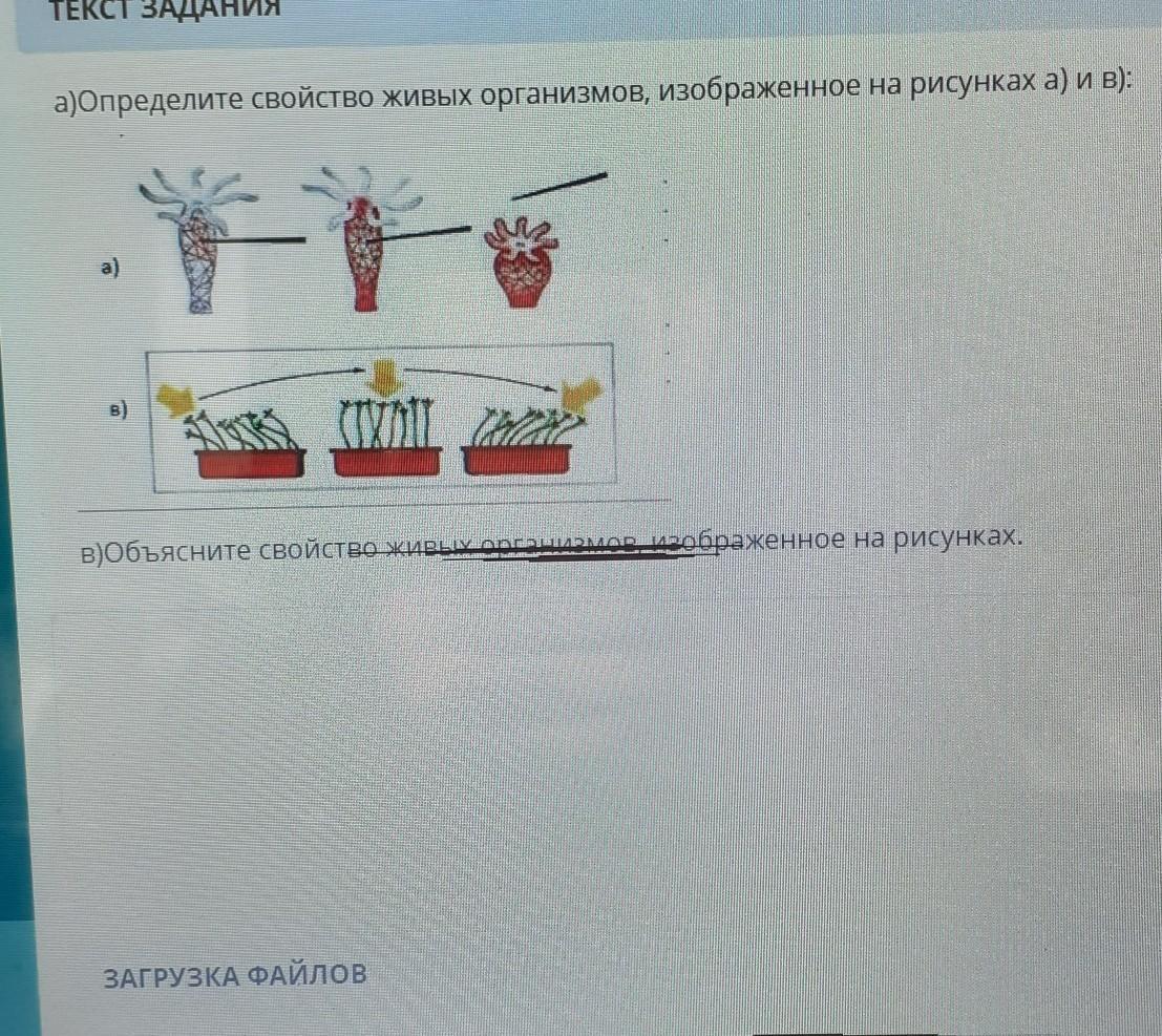 ОТВЕТЫ НА ЗАДАНИЯ ДЛЯ 10 КЛАССА