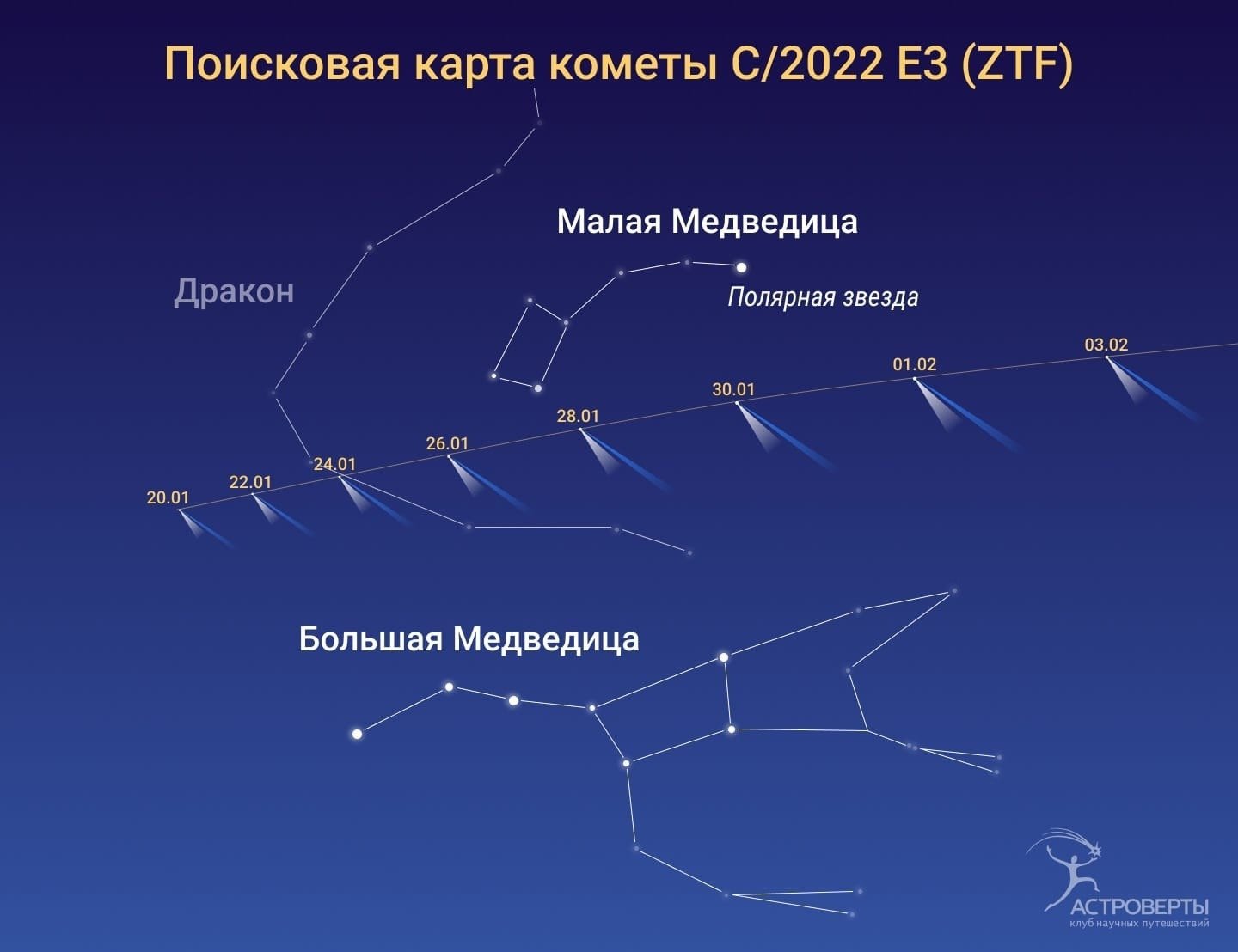 Созвездие большой и малой медведицы