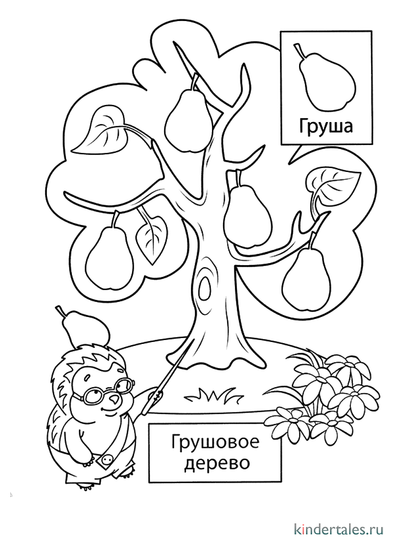 Груша Рисование Пища Фруктовая, груша