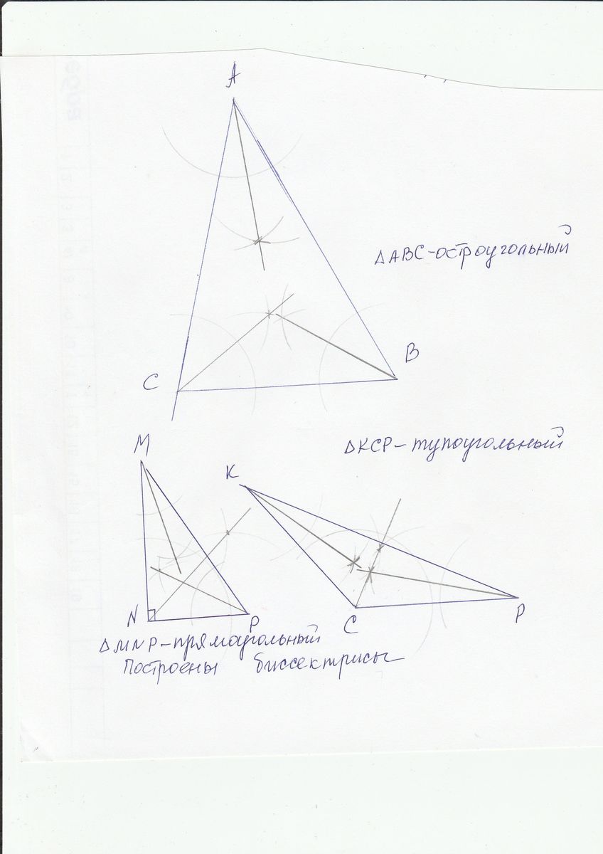 Высота треугольника | YouClever