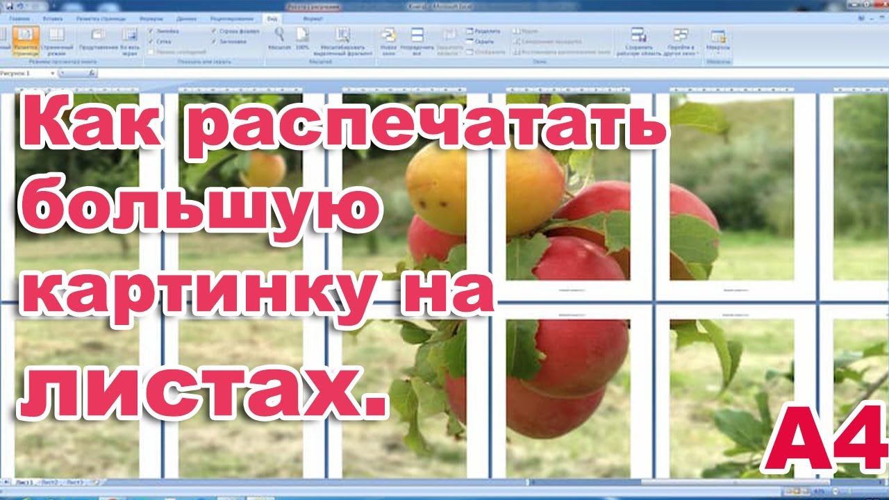 сообщество CorelDRAW