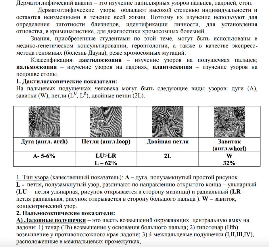 Анатомия человека