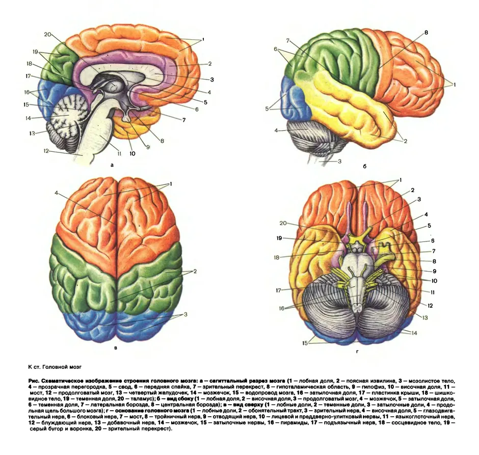 An Atlas of Structures, Sections, and Systems