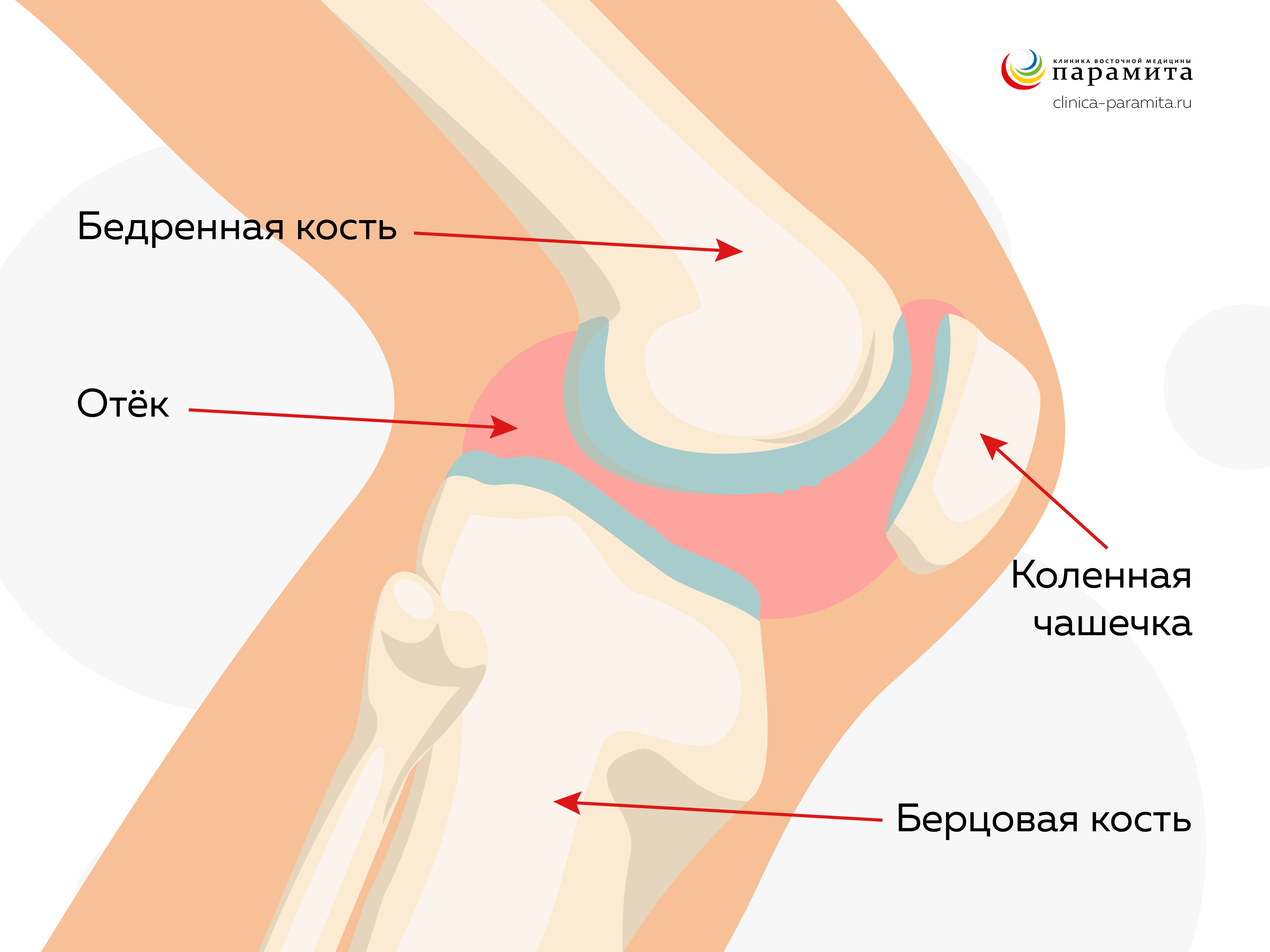 Схемы лечения. Терапия внутренних