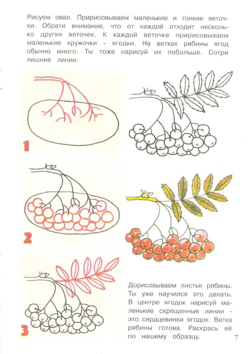 to draw a ROWAN