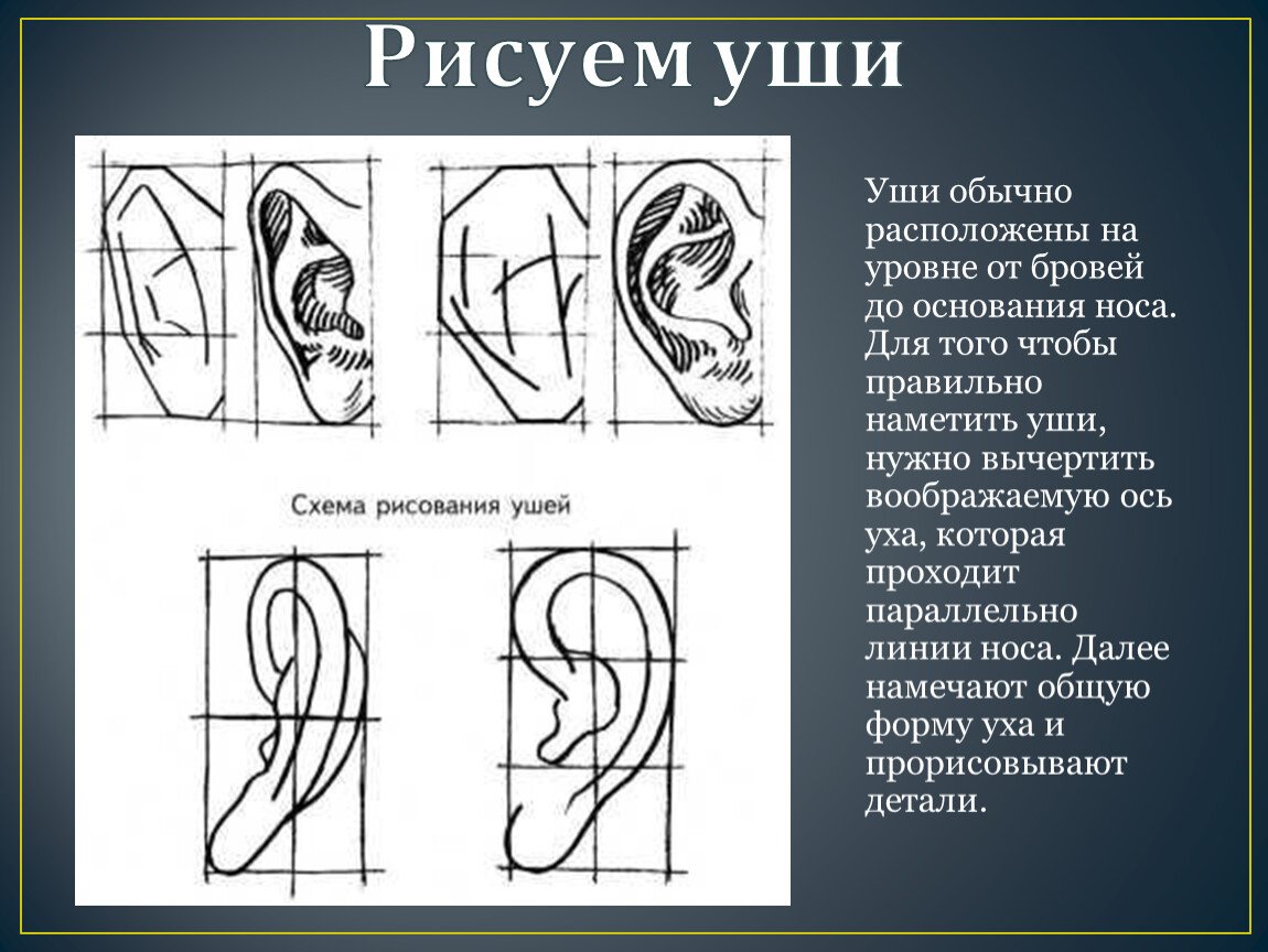 Как рисовать УХО ЧЕЛОВЕКА карандашом. Урок 64. How to draw