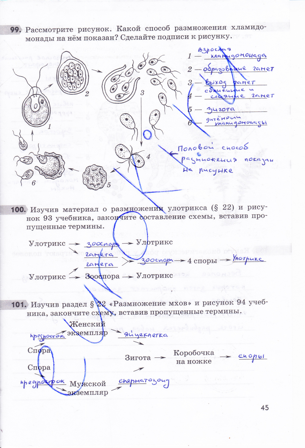 Задание №5