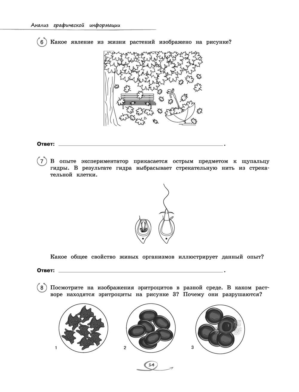 Лимфатическая система