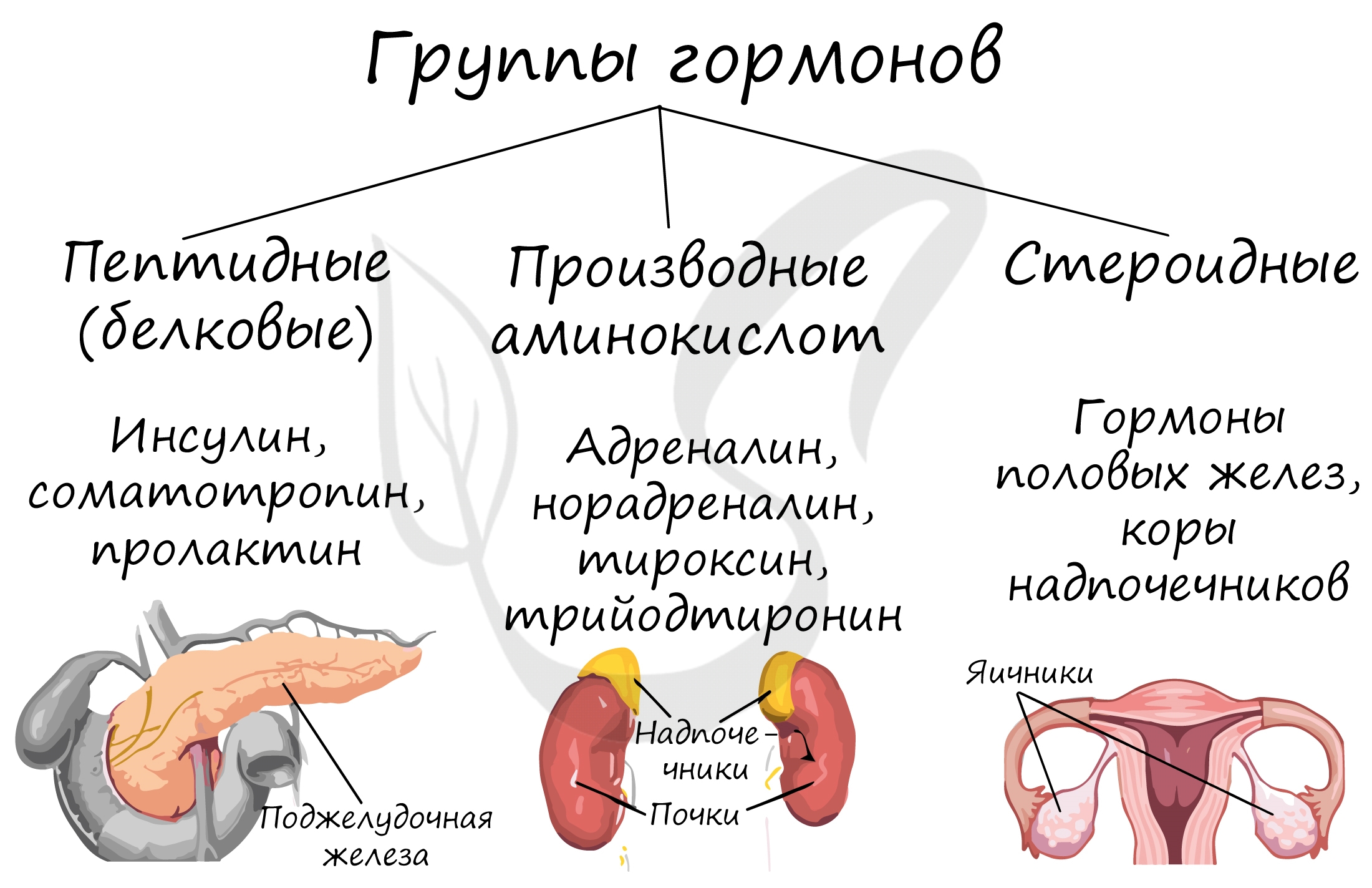 Превентивная медицина против рака