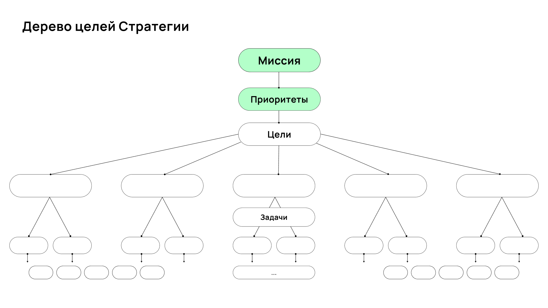 Гид для первокурсников