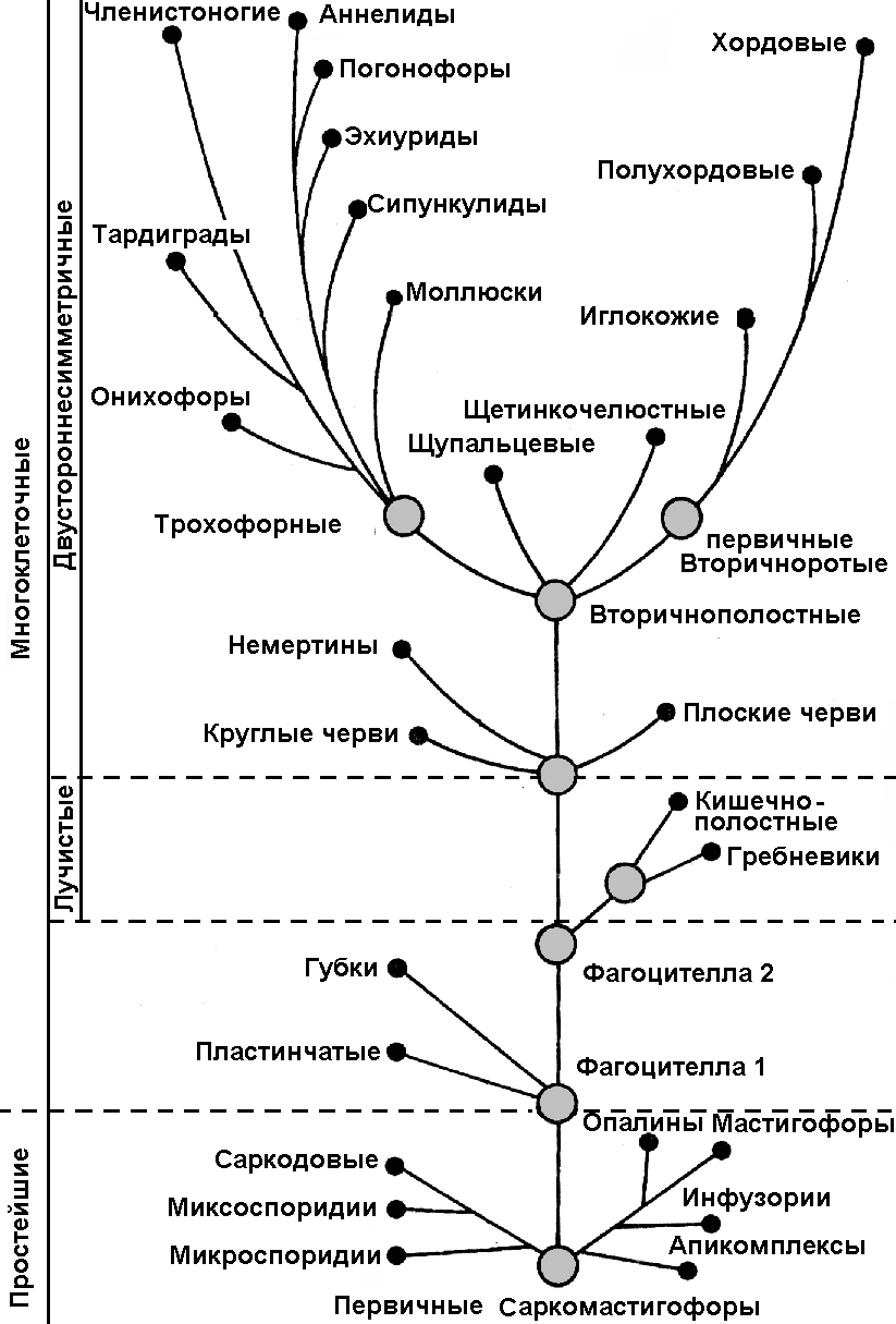 ЗАДАНИЯ теоретического тура