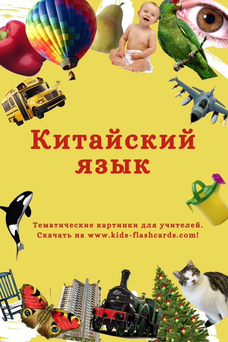 Китайский язык для начинающих. Базовый