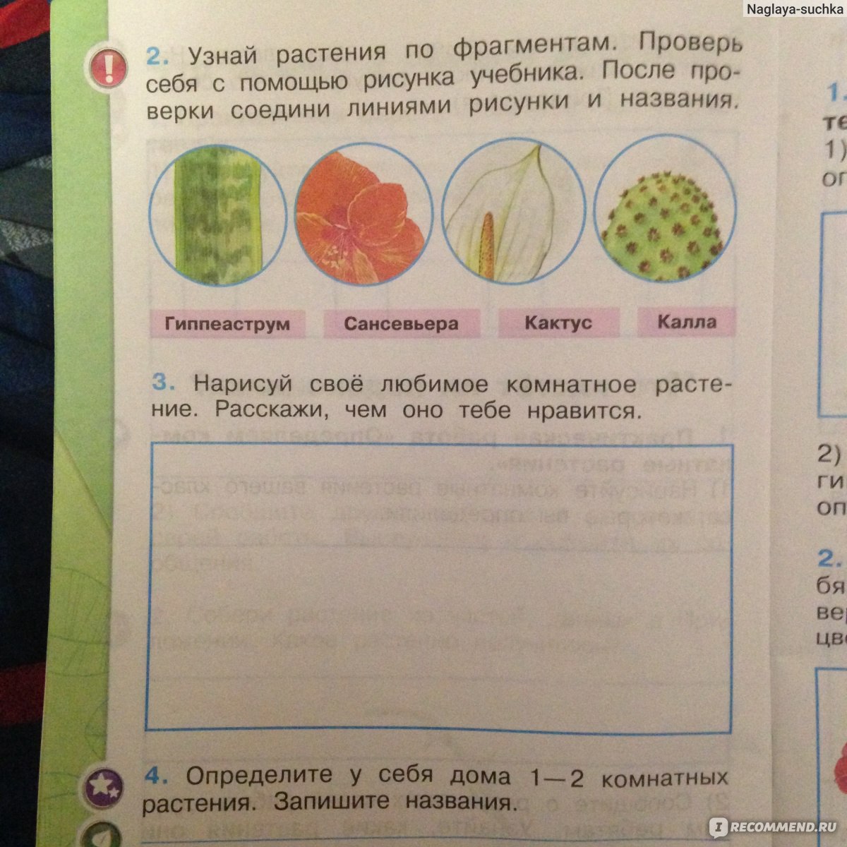 Поделка из камней окружающий мир 