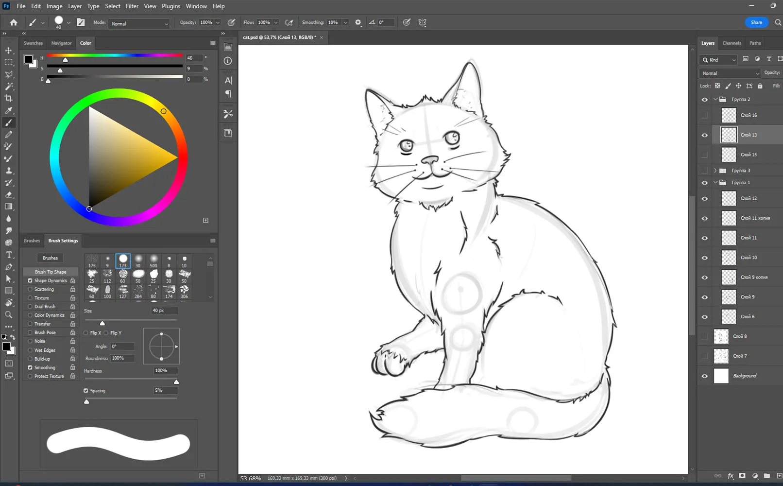 How to Draw a Cat step by step easy for