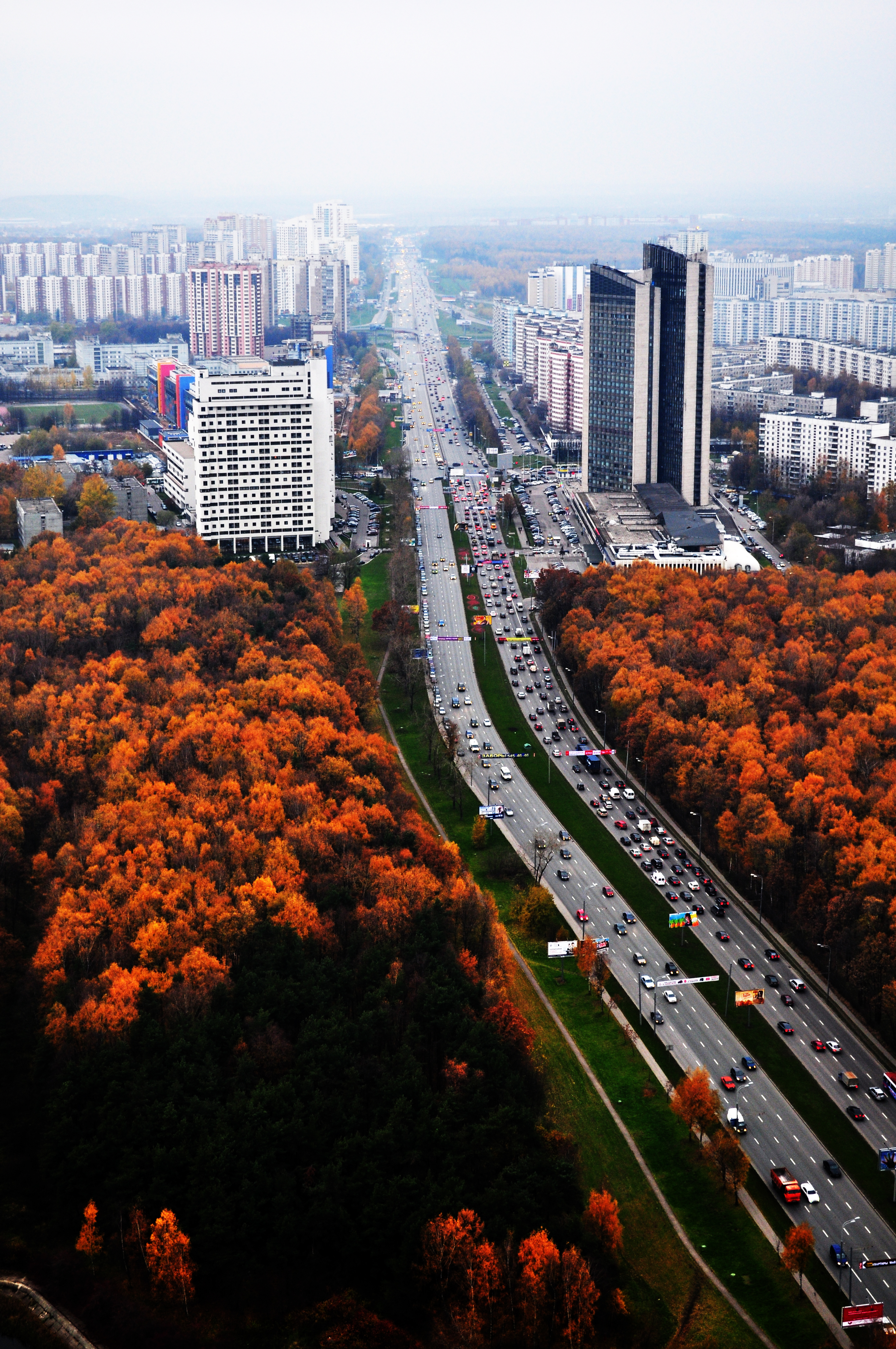 Небоскребы – новая реальность Москвы