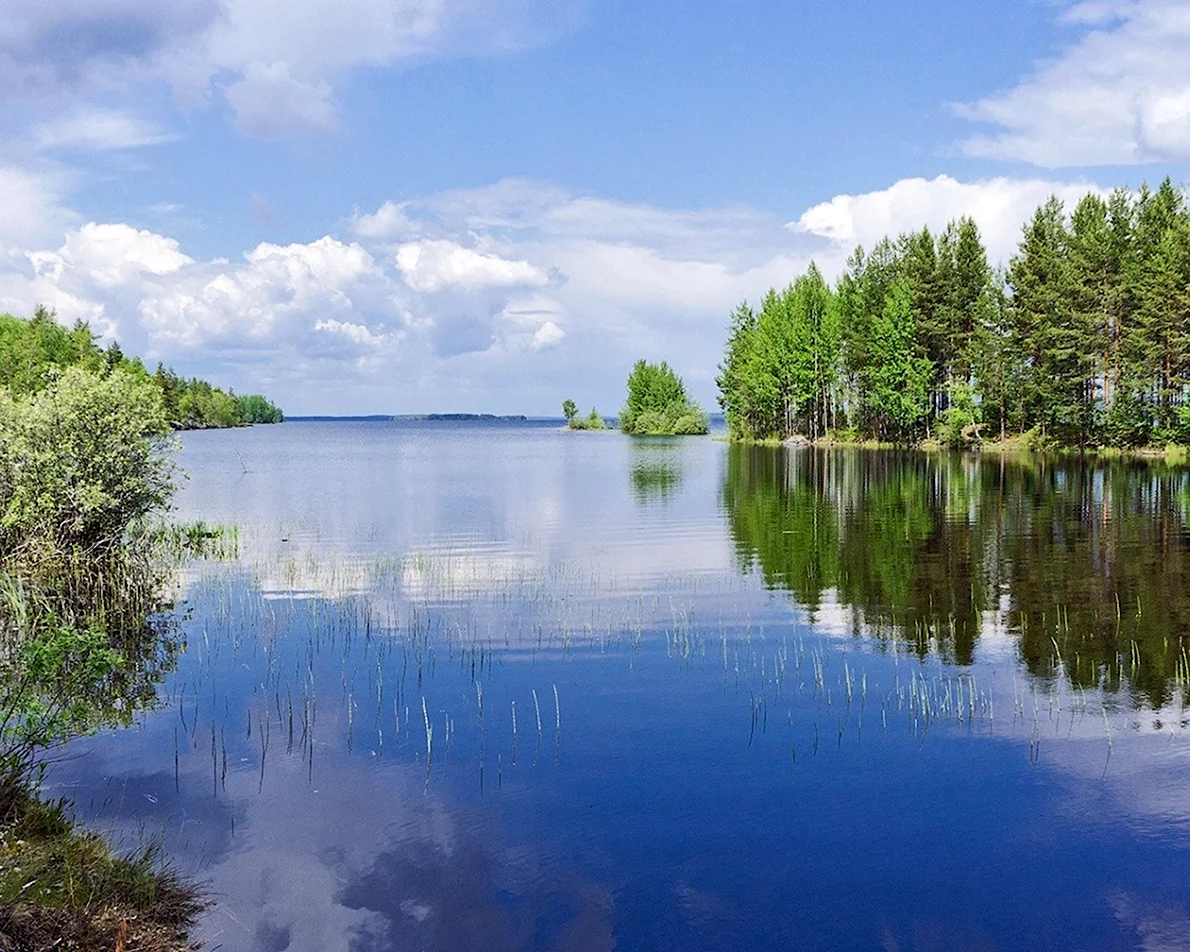 Картинки река впадает в озеро 