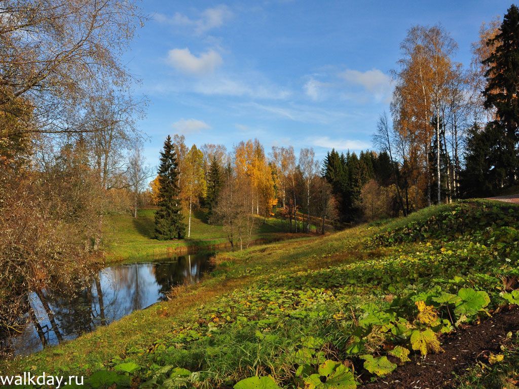 Картина Осенний парк. Размеры: 70x90, Год: 2021, Цена: 95000