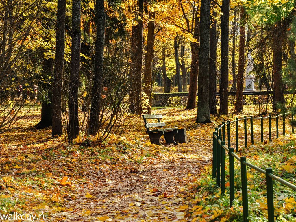 Осенний Павловск. Акварельный мастер