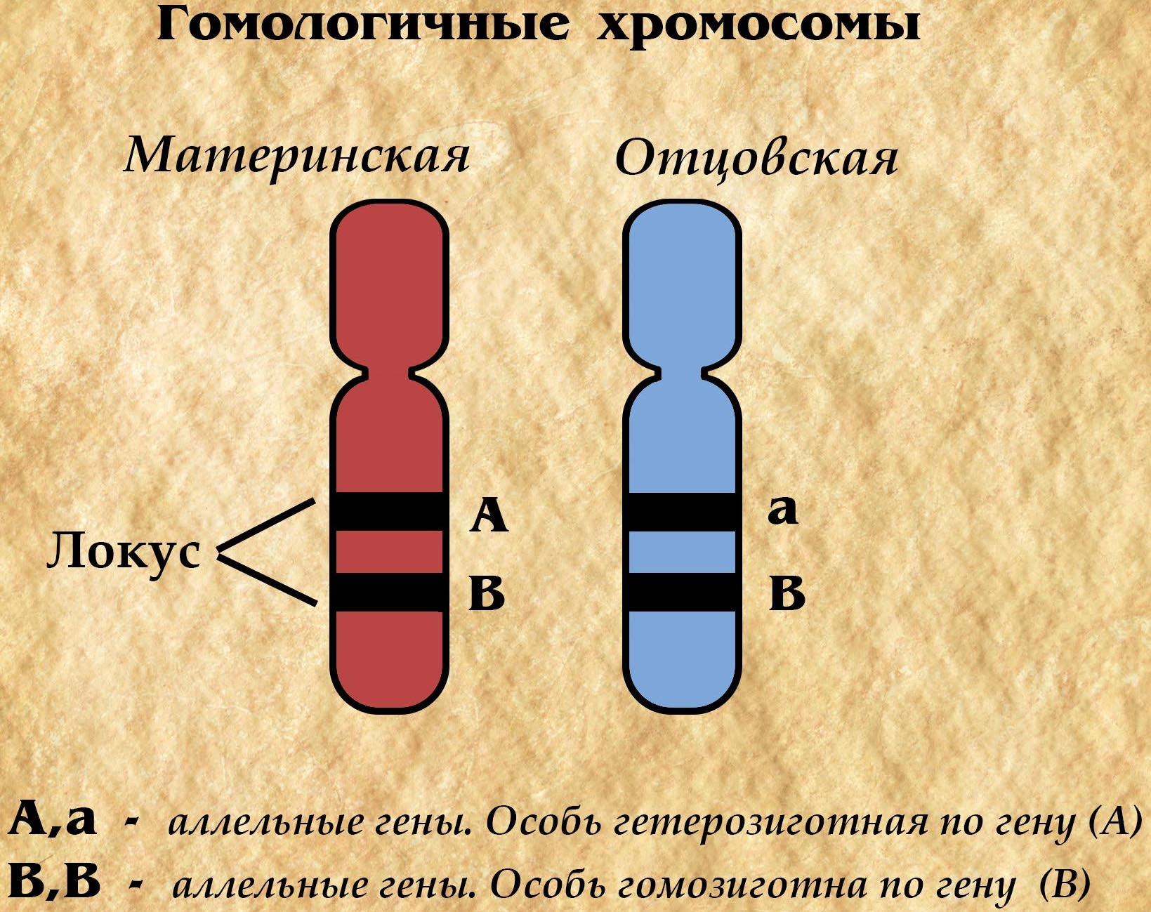 bio_p #bio_all_p@biology_100