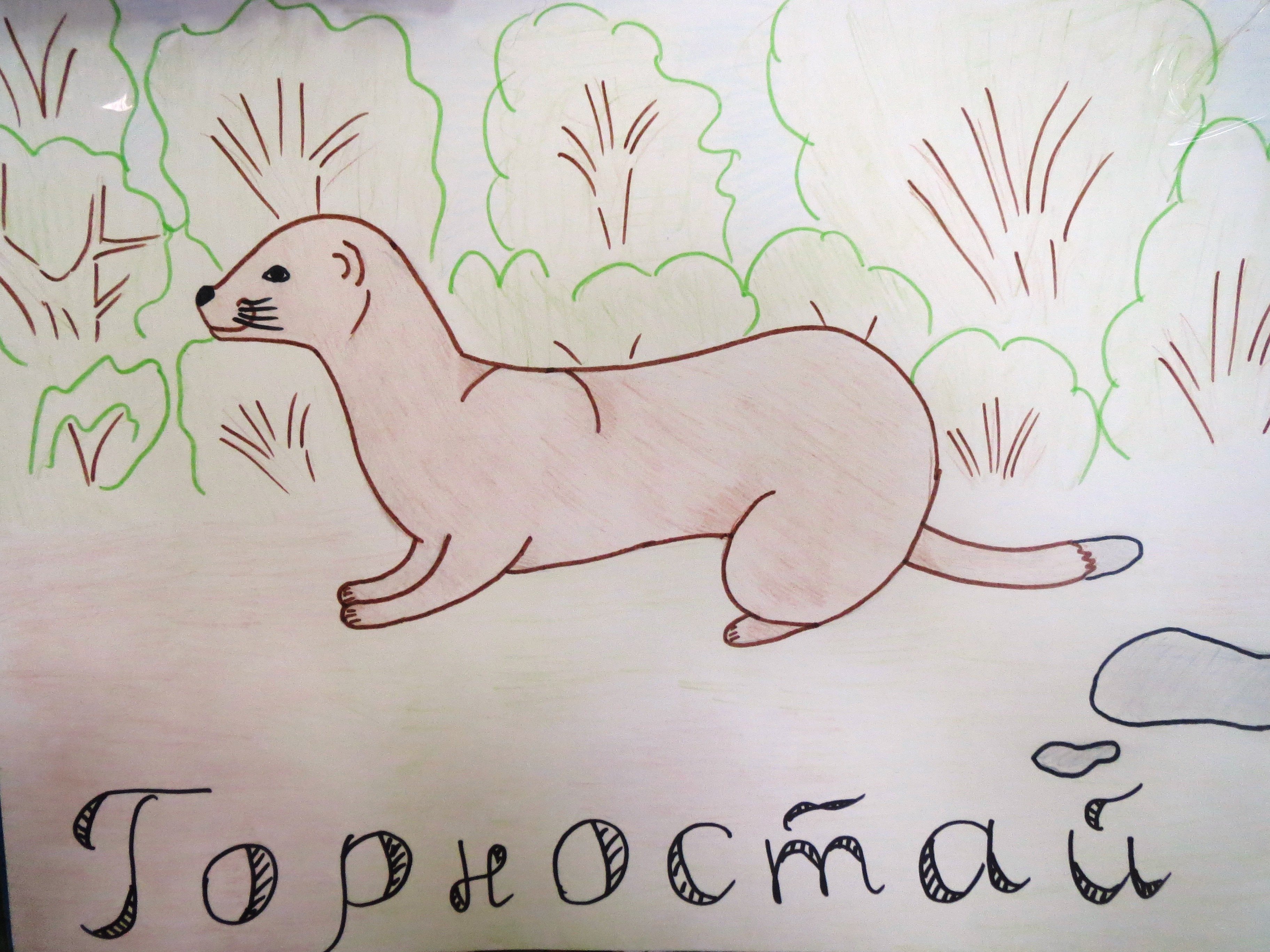 drawing of a tiger ПРОСТОЙ