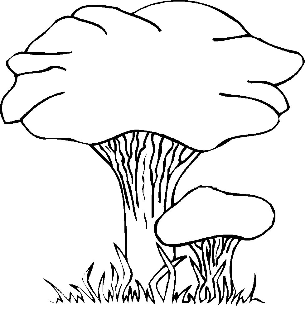 Рисунок гриба карандашом для срисовки
