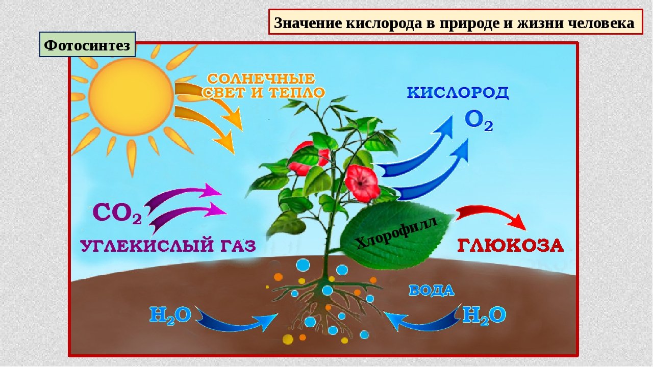 Предупреждение семейно