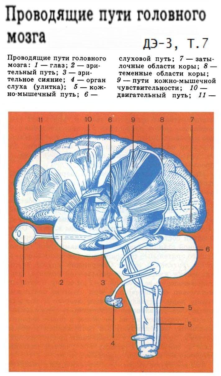 Аденома