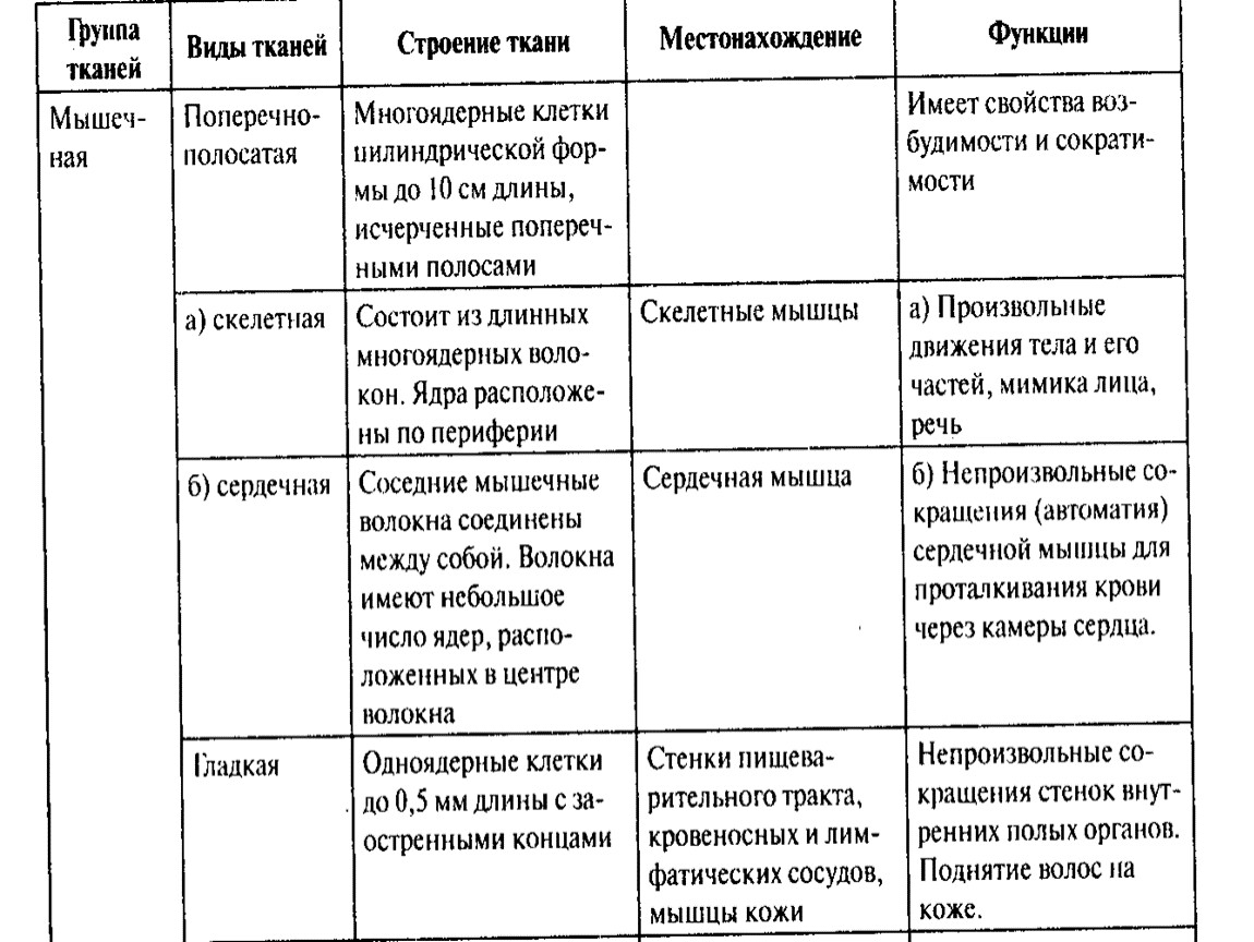 Иконка Наброска Сердца Изолированный